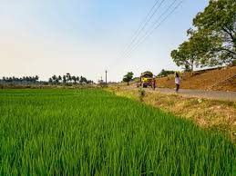 Telugu village scene 2